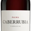 Luis Pérez Caberrubia Saca VII